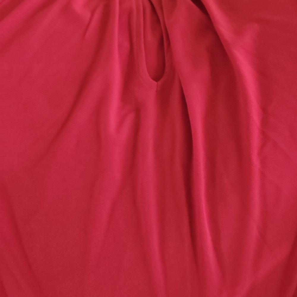 Red Blouse